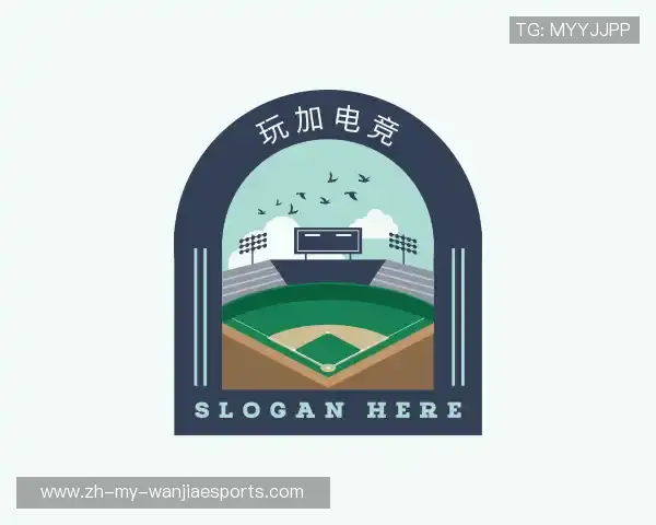 关于玩加电竞